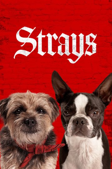 Strays (2023) [Hindi + English] WEB-HD Watch Online