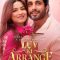 Luv Ki Arrange Marriage (2024) Hindi WEB-HD Watch Online