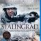 Stalingrad (2013) [Tamil + Hindi + Eng] BDRip Watch Online