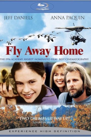 Fly Away Home