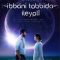 Ibbani Tabbida Ileyali (2024) Kannada WEB-HD Watch Online