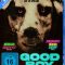 Good Boy (2022) [Tam + Tel + Hin + Nor] BDRip Watch Online