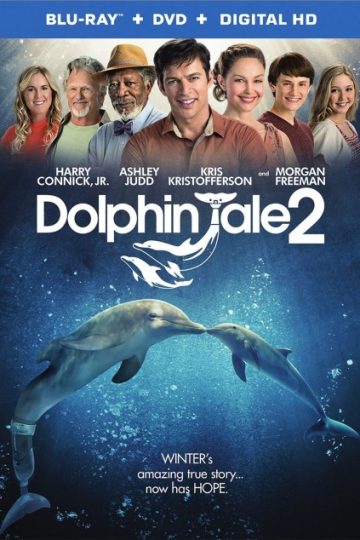 Dolphin Tale 2