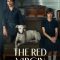 The Red Virgin (2024) [Hindi + Eng] WEB-HD Watch Online