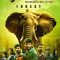 Forest (2025) Kannada HQ REAL PreDVD (HQ Line Audio) Watch Online