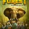 Forest (2025) Kannada WEB-HD Watch Online